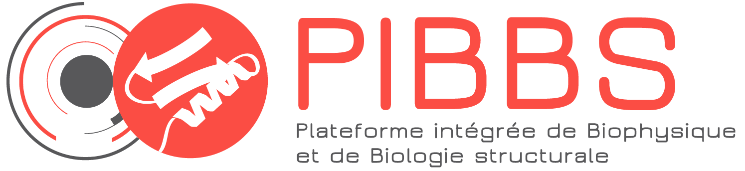 logo PIBBS
