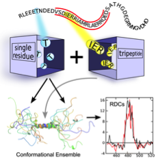 teamA2 fig4 disorder pred