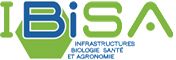 ibisa