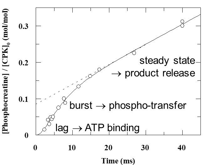 bioch TECHNIQUE PATHWAYS