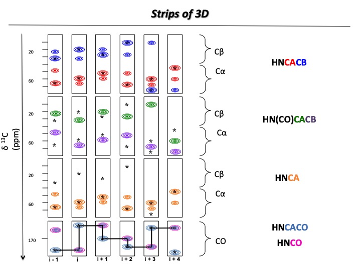 nmr assignments journal