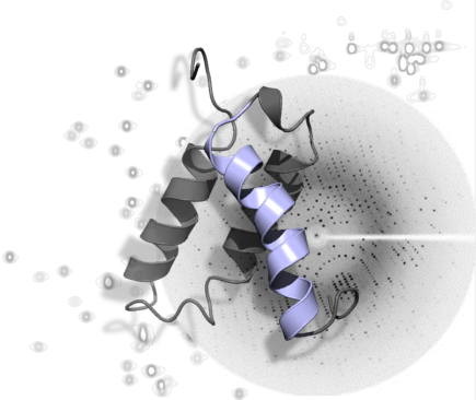 NMR XR