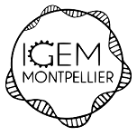 igem2