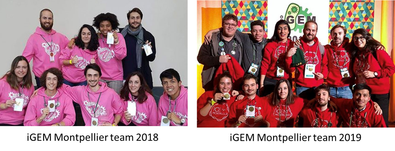 photo iGEM