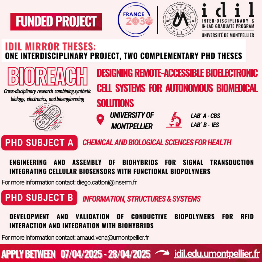MirrorDoctoralProject full